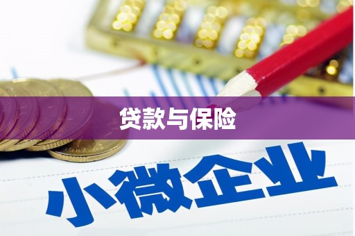 魏县贷款与保险