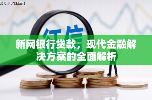 泸水新网银行贷款，现代金融解决方案的全面解析