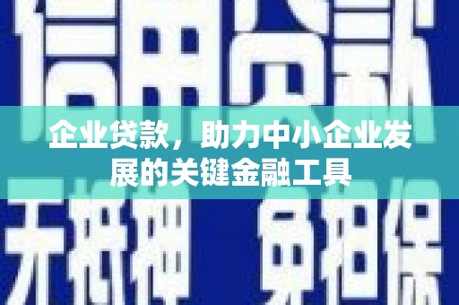 板桥企业贷款，助力中小企业发展的关键金融工具