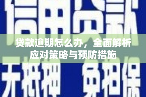 紫云贷款逾期怎么办，全面解析应对策略与预防措施