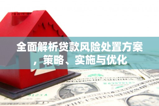 保税区全面解析贷款风险处置方案，策略、实施与优化