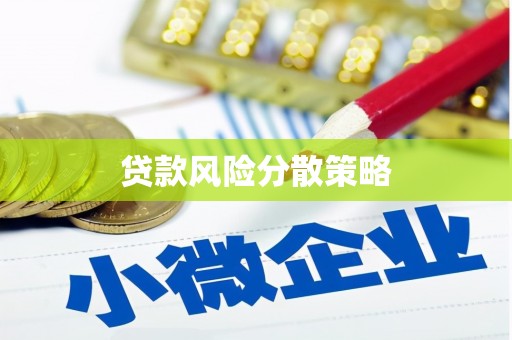 刚察贷款风险分散策略