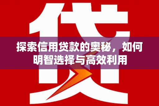 苑里探索信用贷款的奥秘，如何明智选择与高效利用