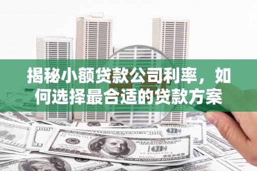 永清揭秘小额贷款公司利率，如何选择最合适的贷款方案