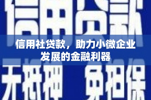 美浓信用社贷款，助力小微企业发展的金融利器