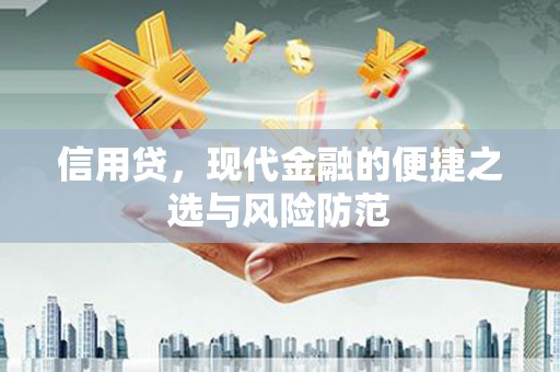 瑞穗信用贷，现代金融的便捷之选与风险防范