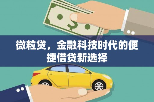 个旧微粒贷，金融科技时代的便捷借贷新选择