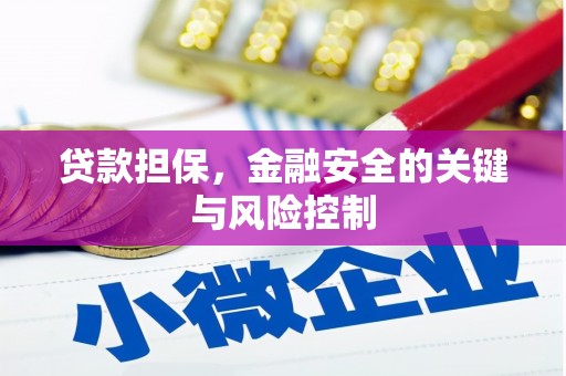 景谷贷款担保，金融安全的关键与风险控制
