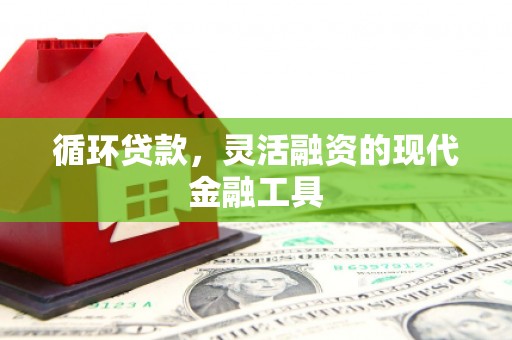 武昌循环贷款，灵活融资的现代金融工具