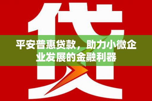 乐昌平安普惠贷款，助力小微企业发展的金融利器