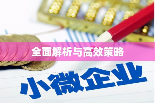 韶关全面解析与高效策略