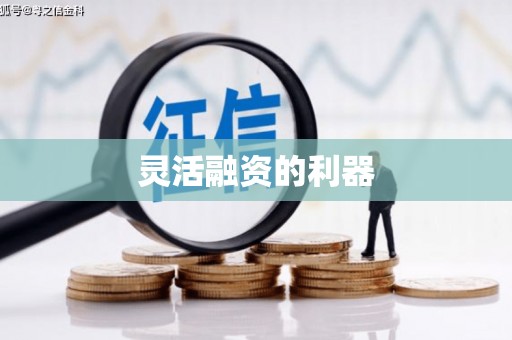 大东灵活融资的利器