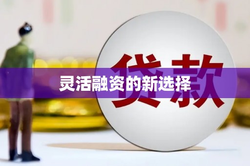 增城灵活融资的新选择