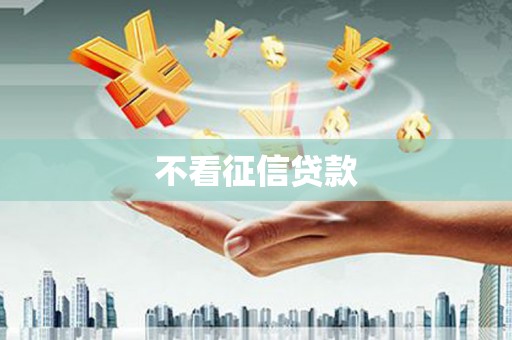 杂多不看征信贷款