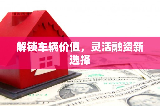 临安解锁车辆价值，灵活融资新选择