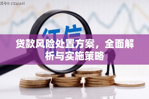 湘东贷款风险处置方案，全面解析与实施策略