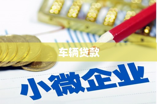 美姑车辆贷款