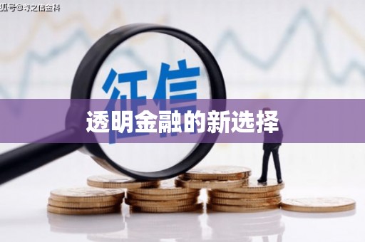 富县透明金融的新选择