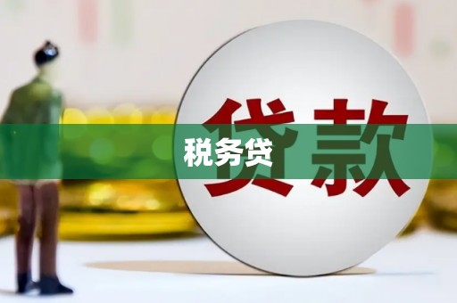 湖西税务贷
